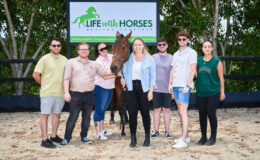 Equine therapy session at Life with Horses in South East Queensland, featuring a retired racehorse providing emotional support and comfort to participants.